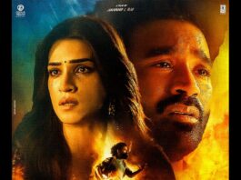 Tere Ishk Mein, Tere Ishk Mein movie collection, Tere Ishk Mein box office, Tere Ishk Mein hit or flop, Tere Ishk Mein November December collection, Tere Ishk Mein earnings, Bollywood box office report, movie verdict