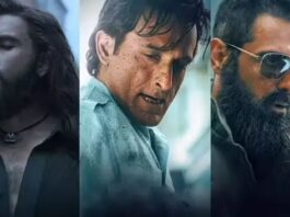 Dhurandhar, Dhurandhar box office collection, Dhurandhar India collection, Dhurandhar worldwide collection, Dhurandhar total earnings, Dhurandhar day wise collection, Bollywood box office, movie box office report, Dhurandhar movie earnings